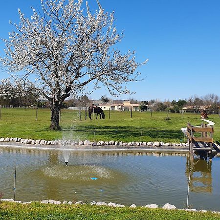 Domaine Christanna Bed & Breakfast Lisle-sur-Tarn Bagian luar foto