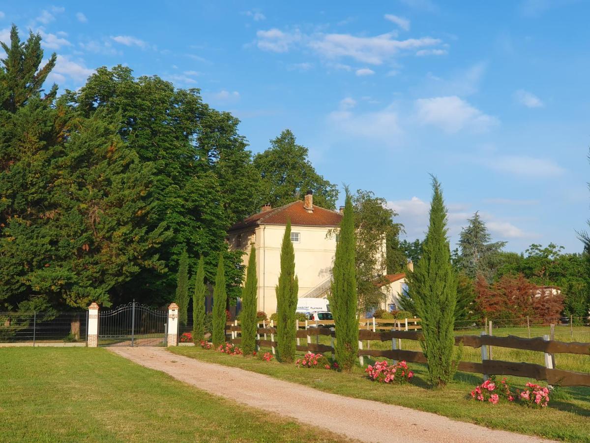 Domaine Christanna Bed & Breakfast Lisle-sur-Tarn Bagian luar foto