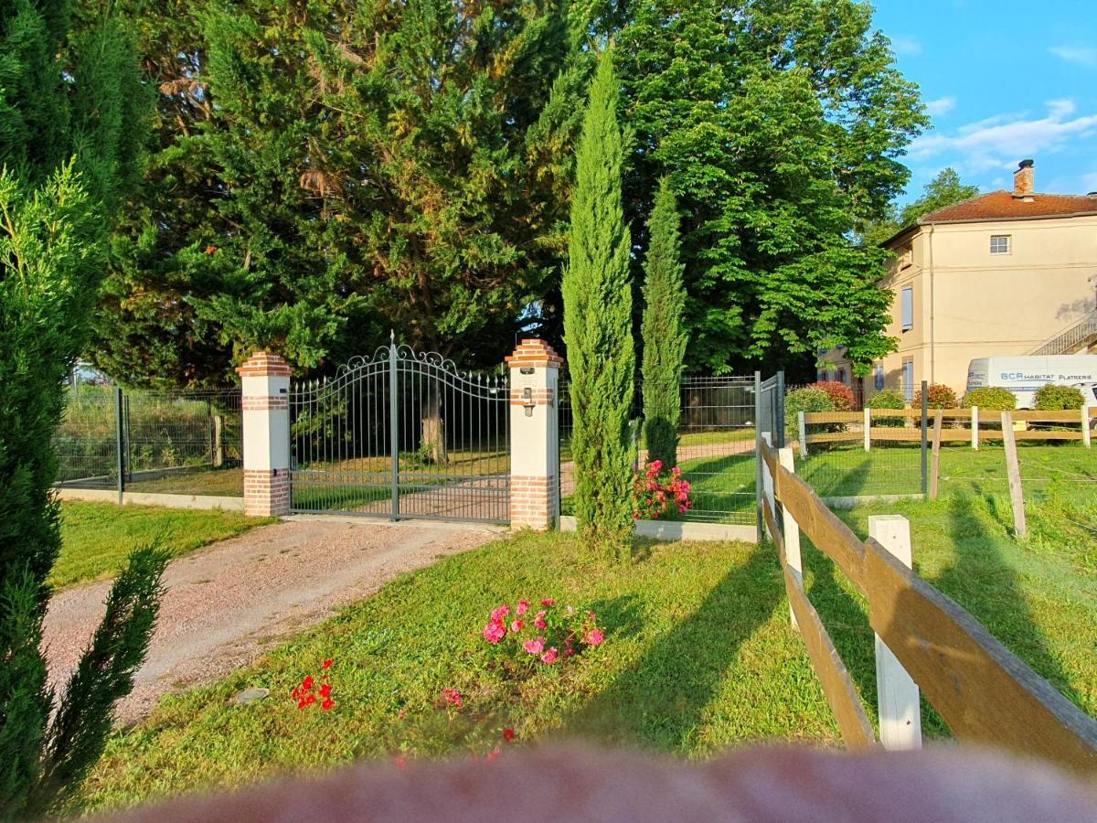 Domaine Christanna Bed & Breakfast Lisle-sur-Tarn Bagian luar foto