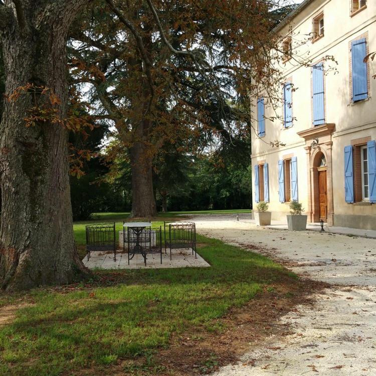 Domaine Christanna Bed & Breakfast Lisle-sur-Tarn Bagian luar foto